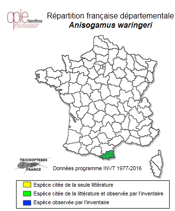 Carte de distribution de Anisogamus waringeri Graf & Vitecek, 2015