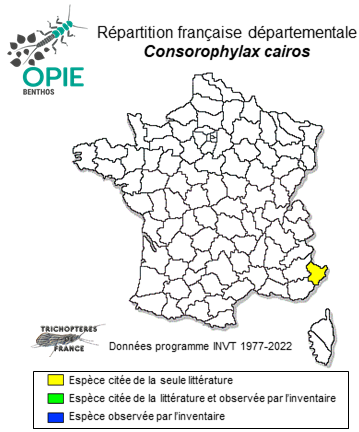 Carte de distribution de Consorophylax cairos Oláh & Vinçon, 2022