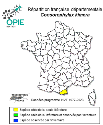 Carte de distribution de Consorophylax kimera (Oláh & Vinçon, 2021)