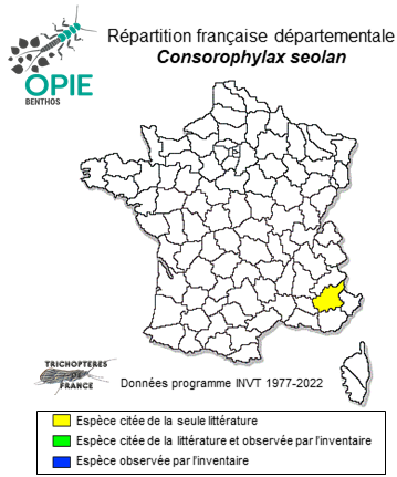 Carte de distribution de Consorophylax seolan Oláh & Vinçon, 2022