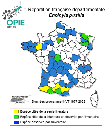 Carte de distribution de Enoicyla pusilla (Burmeister, 1839)