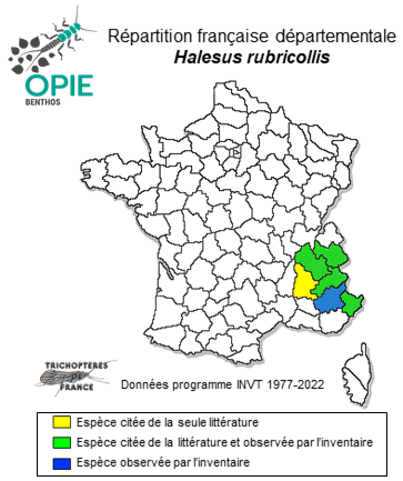 Carte de distribution de Halesus rubricollis (Pictet, 1834)
