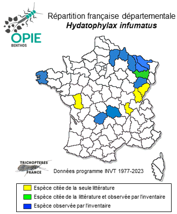 Carte de distribution de Hydatophylax infumatus (MacLachlan, 1865)