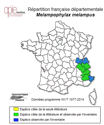 Carte de distribution de Melampophylax melampus (MacLachlan, 1876)