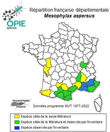 Carte de distribution de Mesophylax aspersus (Rambur, 1842)