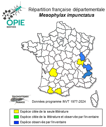 Carte de distribution de Mesophylax impunctatus MacLachlan, 1884