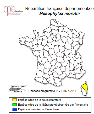 Carte de distribution de Mesophylax morettii Malicky, 1997