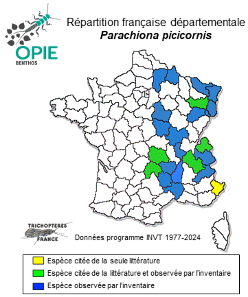 Carte de distribution de Parachiona picicornis (Pictet, 1834)