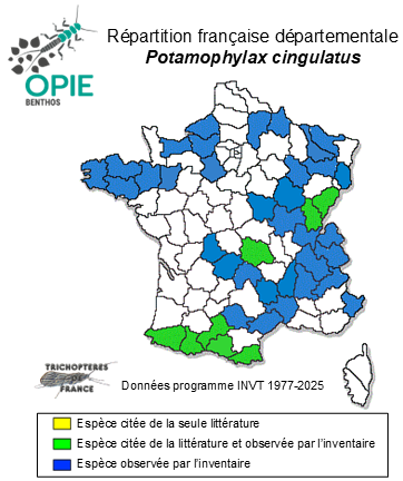 Carte de distribution de Potamophylax cingulatus (Stephens, 1837)