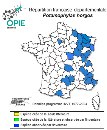 Carte de distribution de Potamophylax horgos Coppa & Oláh, 2013