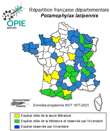 Carte de distribution de Potamophylax latipennis (Curtis, 1834)
