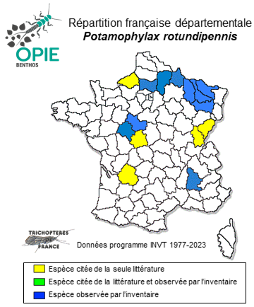 Carte de distribution de Potamophylax rotundipennis (Brauer, 1857)