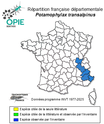 Carte de distribution de Potamophylax transalpinus Oláh & Coppa, 2018