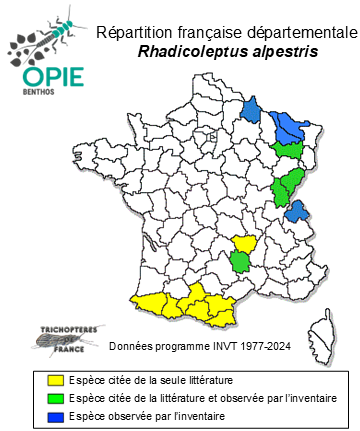 Carte de distribution de Rhadicoleptus alpestris (Kolenati, 1848)