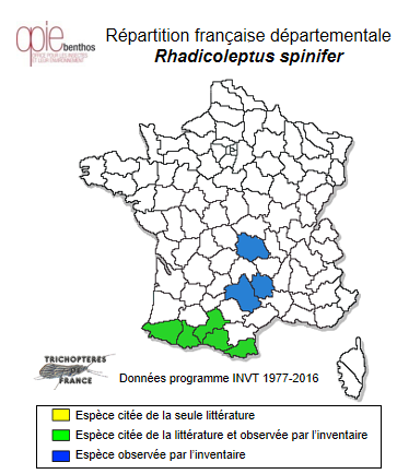 Carte de distribution de Rhadicoleptus spinifer (MacLachlan, 1875)