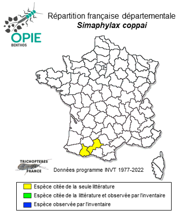Carte de distribution de Simaphylax coppai Oláh & Vinçon, 2022