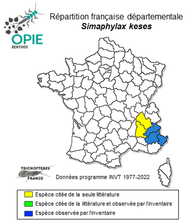 Carte de distribution de Simaphylax keses (Coppa & Oláh, 2015)