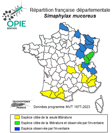 Carte de distribution de Simaphylax mucoreus (Hagen, 1861)