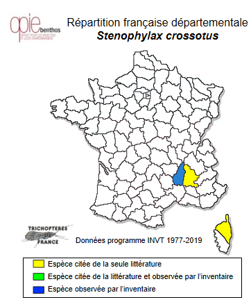 Carte de distribution de Stenophylax crossotus MacLachlan, 1884