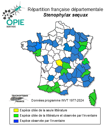 Carte de distribution de Stenophylax sequax (MacLachlan, 1875)