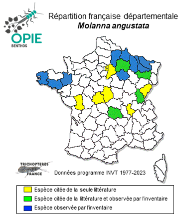 Carte de distribution de Molanna angustata Curtis, 1834