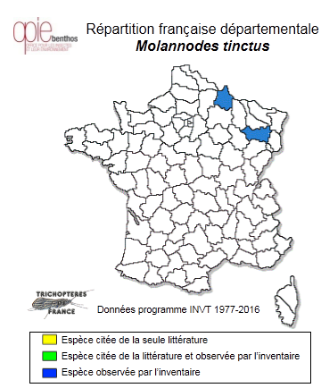 Carte de distribution de Molannodes tinctus (Zetterstedt, 1840 )