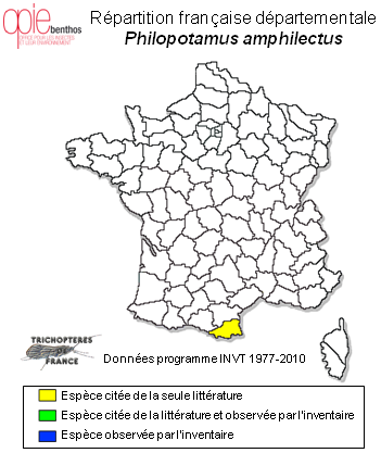 Carte de distribution de Philopotamus amphilectus McLachlan, 1884