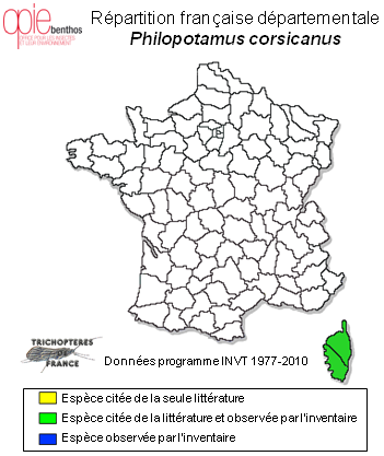 Carte de distribution de Philopotamus corsicanus Mosely, 1938