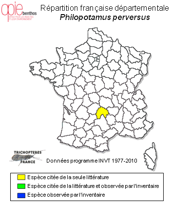Carte de distribution de Philopotamus perversus McLachlan, 1884