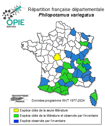 Carte de distribution de Philopotamus variegatus (Scopoli, 1763)