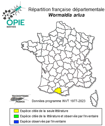 Carte de distribution de Wormaldia arlua Oláh & Vinçon, 2023