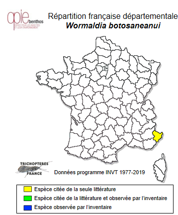 Carte de distribution de Wormaldia botosaneanui Moretti, 1981