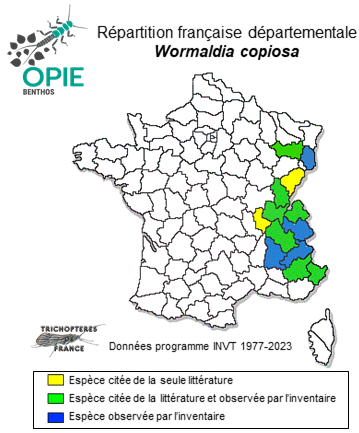 Carte de distribution de Wormaldia copiosa (McLachlan, 1868)
