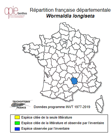 Carte de distribution de Wormaldia longiseta Coppa & Oláh, 2019
