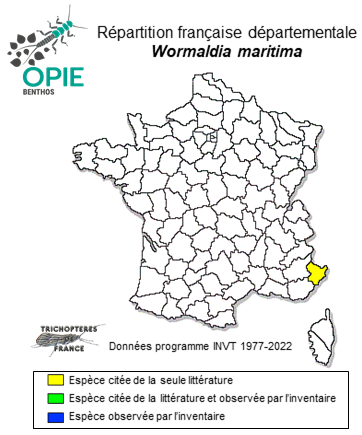 Carte de distribution de Wormaldia maritima Oláh & Vinçon, 2022