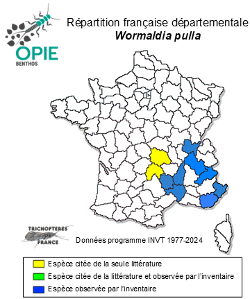 Carte de distribution de Wormaldia pulla (McLachlan, 1878)
