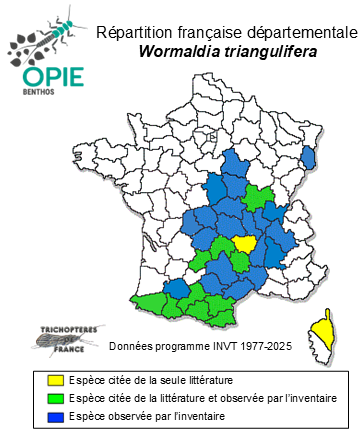Carte de distribution de Wormaldia triangulifera* McLachlan, 1878