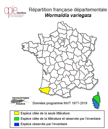 Carte de distribution de Wormaldia variegata Mosely, 1930