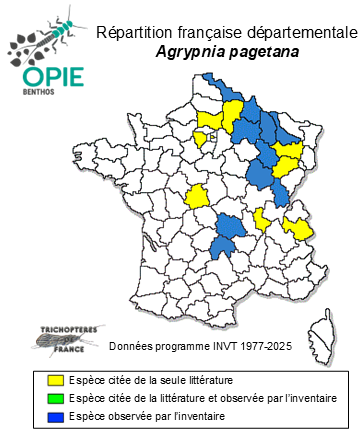 Carte de distribution de Agrypnia pagetana Curtis, 1835