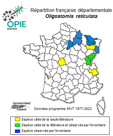 Carte de distribution de Oligostomis reticulata (Linnaeus, 1761)