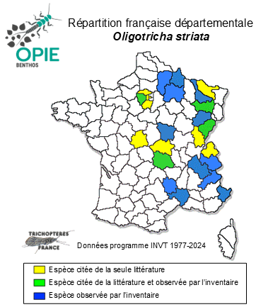 Carte de distribution de Oligotricha striata (Linnaeus, 1758)