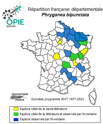Carte de distribution de Phryganea bipunctata Retzius, 1783