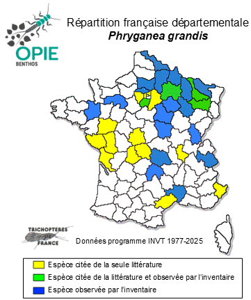 Carte de distribution de Phryganea grandis Linnaeus, 1758