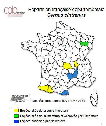 Carte de distribution de Cyrnus cintranus MacLachlan, 1884