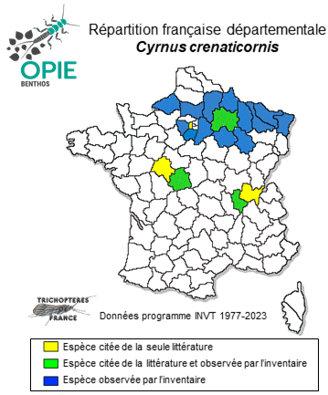Carte de distribution de Cyrnus crenaticornis (Kolenati, 1859)