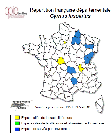 Carte de distribution de Cyrnus insolutus MacLachlan, 1878