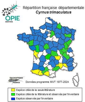 Carte de distribution de Cyrnus trimaculatus (Curtis, 1834)