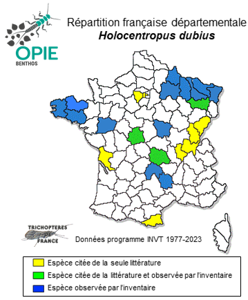 Carte de distribution de Holocentropus dubius (Rambur, 1842)