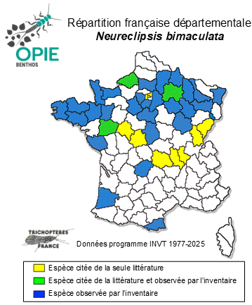 Carte de distribution de Neureclipsis bimaculata (Linnæus, 1758)