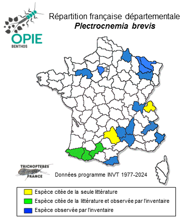 Carte de distribution de Plectrocnemia brevis MacLachlan, 1871